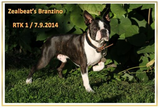 Bono Rally-ToKo koulutustunnus RTK1 7.9.2014