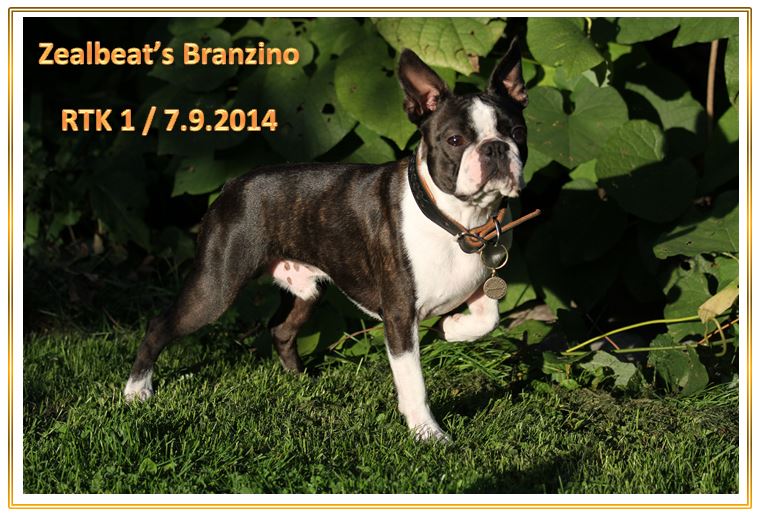 Bono Rally-ToKo koulutustunnus RTK1 7.9.2014