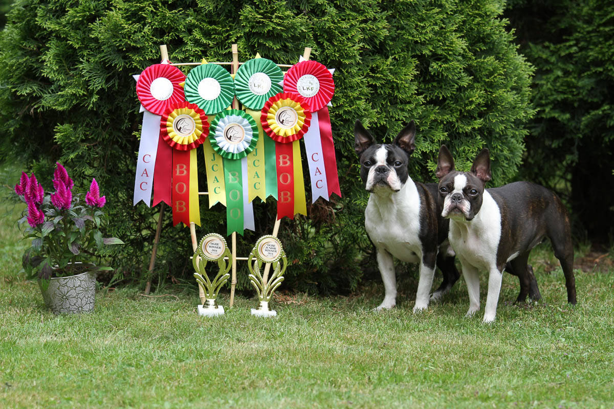 Ruska ja Bono Ogre 2014