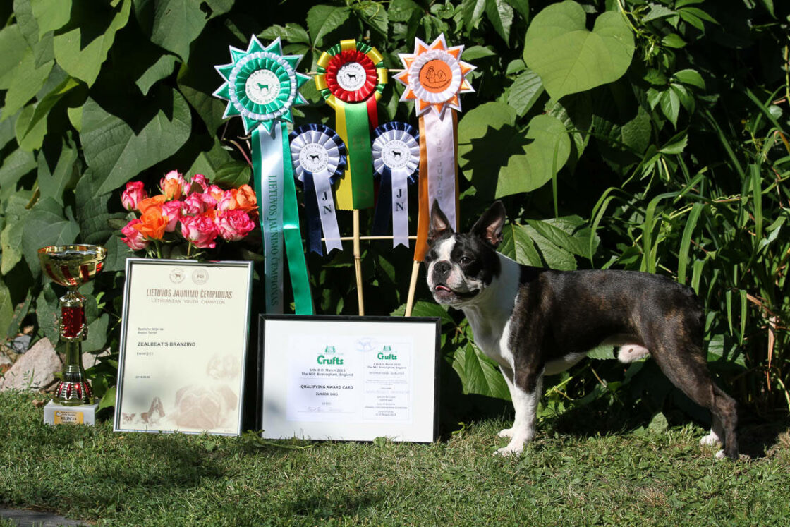 Bono Druskininkai Liettua 2014