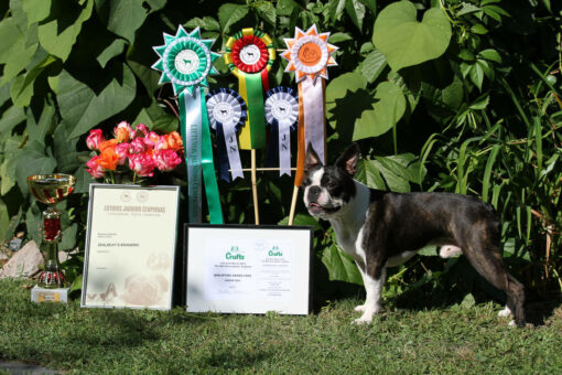 Bono Druskininkai Liettua 2014