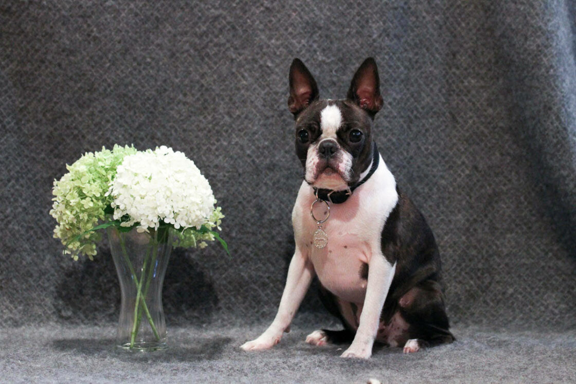 Ruska Tally-ToKo koulutustunnus RTK2 23.8.2014