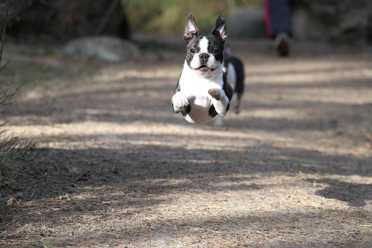 Bono lentää 4.4.2014