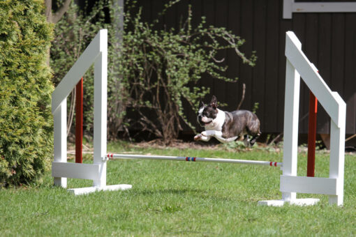 Bono este kotipiha 30.4.2015