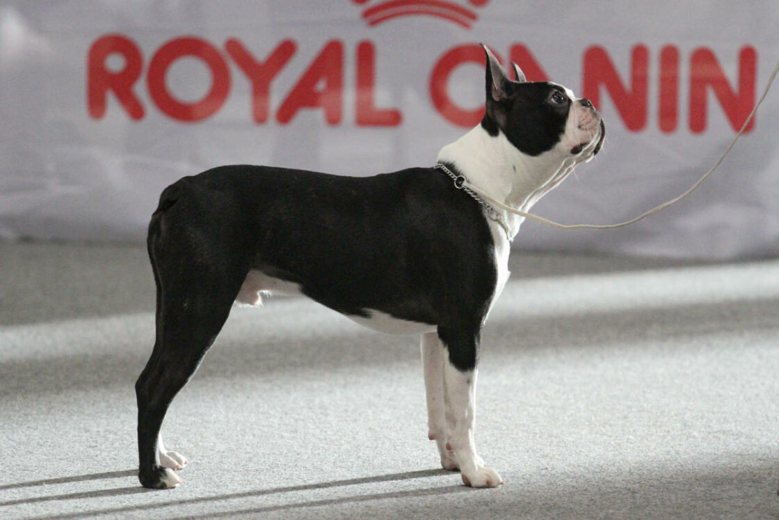 2015_12_05IMG_3999-2