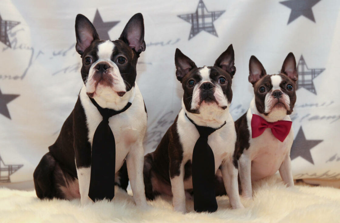 2015_12_19IMG_4643-2